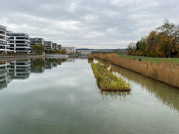 Spiegelglatter Kanal mit schwimmender Vegetation, links moderne Wohngebäude, rechts Ufer mit Büschen und Bäumen unter bewölktem Himmel