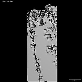 Micro-CT-Scan eines geschmolzenen Salzwasserkanals, der ein gutes Abfliessen von der Oberfläche ermöglicht. Foto: A. Macfarlane