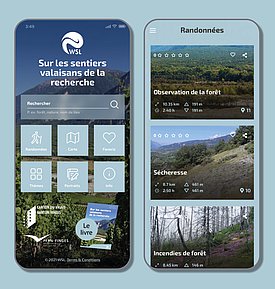 L’application gratuite pour smartphone qui l’accompagne est également une nouveauté (hiking.wsl.ch). Elle remplace le guide pendant la randonnée, affiche l’itinéraire et la position actuelle, et peut même avertir que l’on approche d’un point d’intérêt.