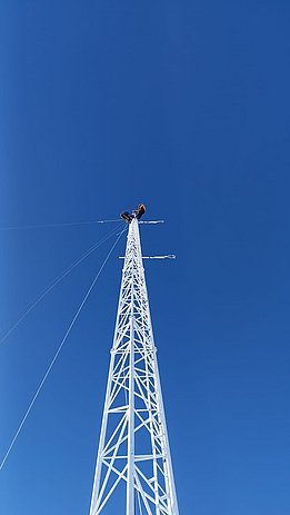 Person klettert auf einem hohen weißen Metallturm vor klarem blauem Himmel.