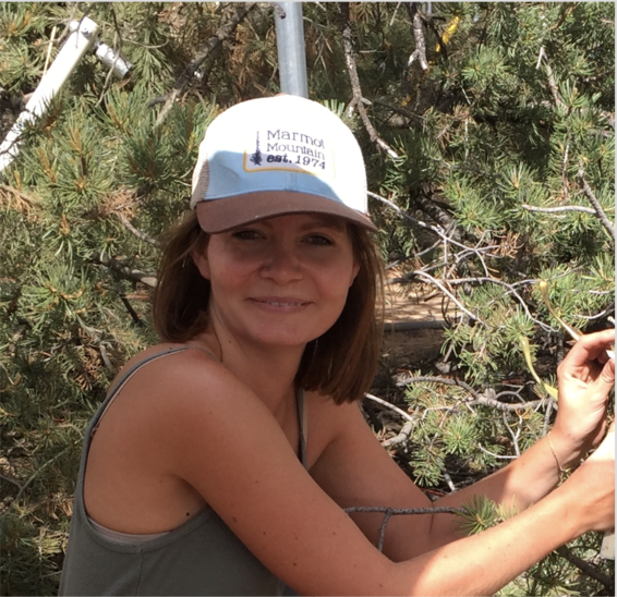 Charlotte Grossiord misst in einem halbtrockenen Wald in New Mexico (USA) den Durchmesser eines Baumes. 
