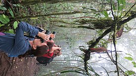 Catherine Graham (front) during field work in a cloud forest on the northwestern slope of the Andes in Ecuador at about 2000 m. (Photo: Michael Eynon)