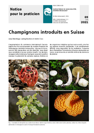 Champignons introduits en Suisse