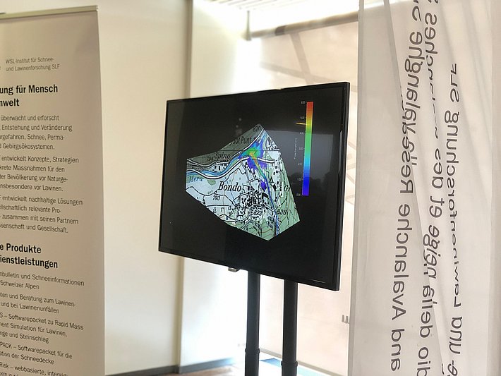 RAMMS-Simulation Bergsturz Piz Cengalo. Foto: R. Buchmüller