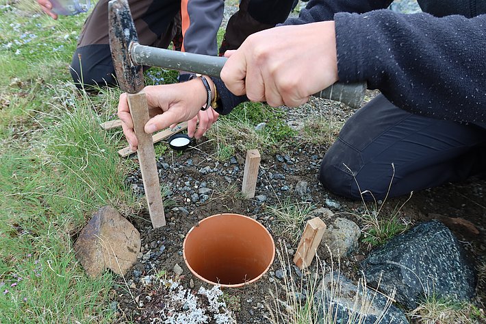Dann schlägt sie vier kleine Pfosten ein und installiert … (Foto: Jochen Bettzieche / SLF)