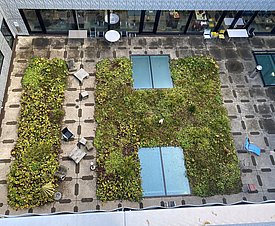 Innenhof mit zwei großen rechteckigen Grünflächen, umgeben von gepflastertem Boden mit Tischen, Stühlen und Sonnenschirm, umgeben von Glasfassaden