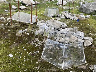 Mittels Plexiglas-Dächer und offenen Kammern (OTC) kann ein trockeneres oder wärmeres Mikroklima erzeugt werden, um zukünftige Klimaentwicklungen zu simulieren. Photo: Beat Frey (WSL) 