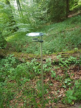 Passive Sporenfalle (Foto: Markus Schlegel)