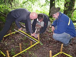 Die Teebeutel müssen in einer bestimmten Bodentiefe vergraben werden. Markus Didion und Flurin Sutter werden von Marco Walser über die verschiedenen Bodenhorizonte instruiert. (Foto: Andri Gustin, WSL)