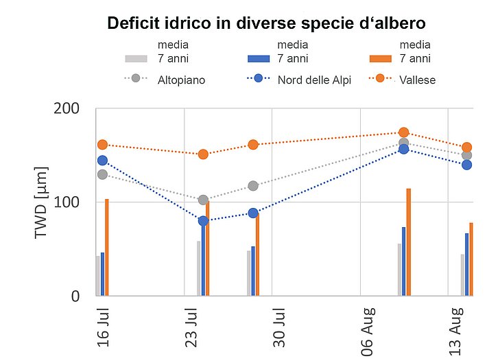 Grafico mostrante il deficit idrico di diverse specie d'alberi