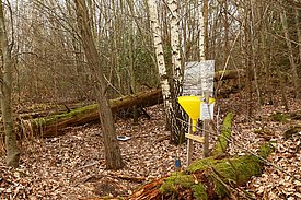 La placette de recherche du WSL à Habsbourg (canton d’Argovie) au printemps 2019, avec un piège à insectes.