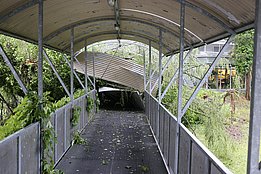 Foto: Gilbert Projer, WSL