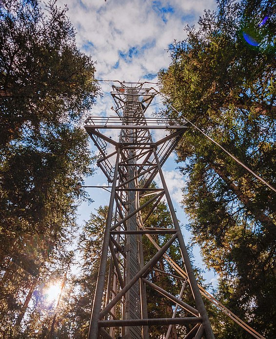 35 Meter hoher Messturm an der ICOS Station in Davos. Foto: Lukas Hörtnagl