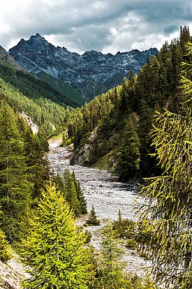 Val Trupchun, Schweizerischer Nationalpark. Bild: Markus Bolliger