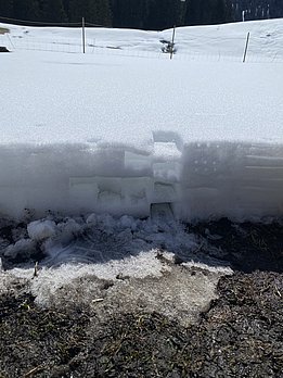 Schneebedeckter Boden mit einem rechteckigen Muster aus Schnee und Eis, daneben brauner, schneefreier Boden