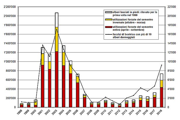 Bostrico tipografo: quantità di legno infestato e numero di nuovi focolari d'infestazione (gruppe d'abete rosso colpiti) in Svizzera dal 1998 al 2018. (Copyright: Protezione della foresta svizzera/WSL)