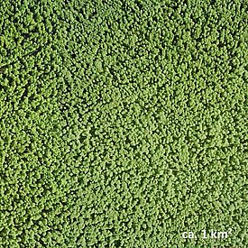 Landschaftsausschnitte des Hainich im deutschen Bundesland Thüringen.