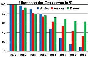 Überleben der Grossarven von 1979 bis 1986