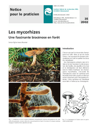 Les mycorhizes. Une fascinante biocénose en forêt