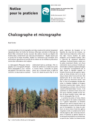 Chalcographe et micrographe