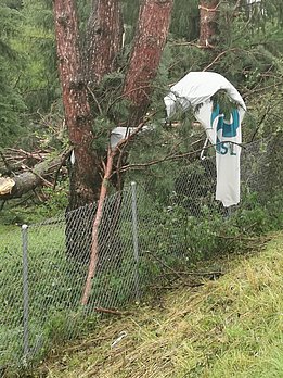 Foto: Doris Hölling