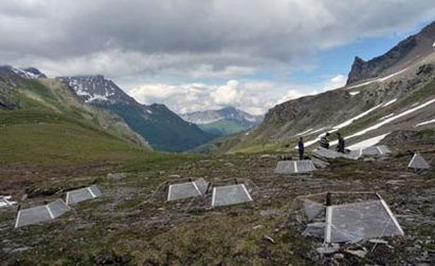 Schweizer ITEX-Versuch im Val Bercla, Mulegns