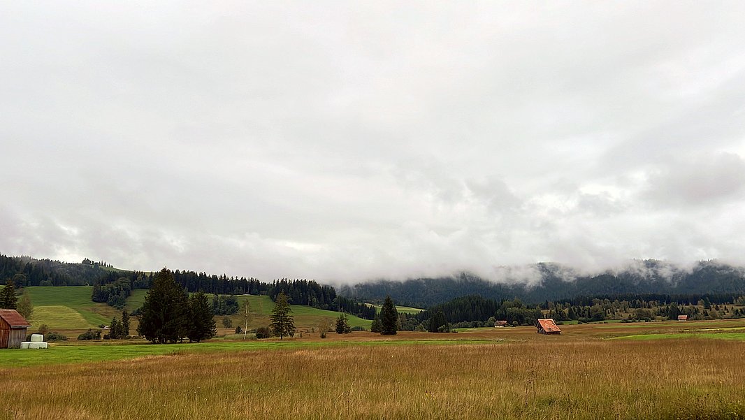 A vast moorland landscape with rolling hills, meadows and trees. The sky is overcast, and thick fog is rolling across the hills in the background. In the foreground lies an autumnal moor.