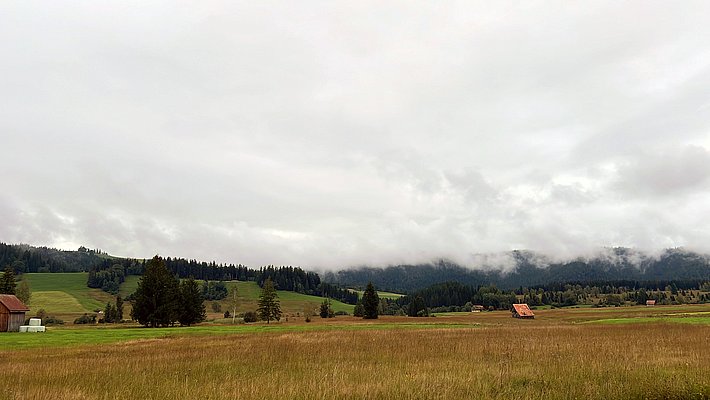 A vast moorland landscape with rolling hills, meadows and trees. The sky is overcast, and thick fog is rolling across the hills in the background. In the foreground lies an autumnal moor.