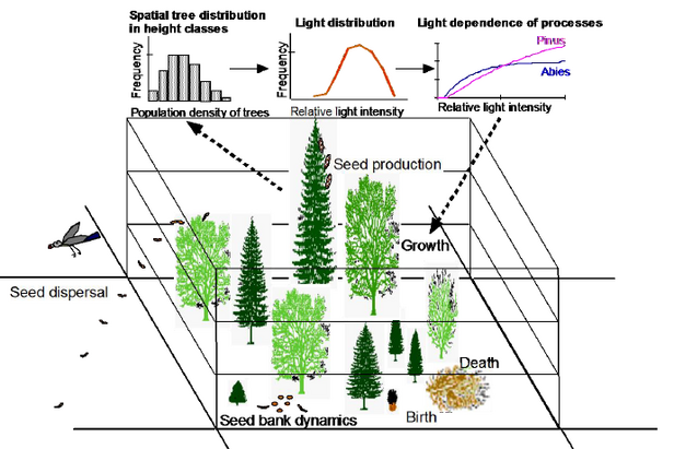 Dynamisches Simulationsmodell TreeMig.