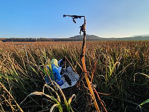 Bodenbeprobung ausserhalb von Wil SG. Photo: Verena Koppe (WSL)
