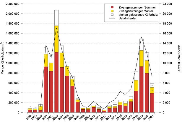 Menge des Käferholzes und Anzahl der Befallsherde (Käfernester) in der Schweiz von 1998 – 2021. * = Werte geschätzt basierend auf Erfahrungen aus den Vorjahren. (Grafik: Waldschutz Schweiz) 