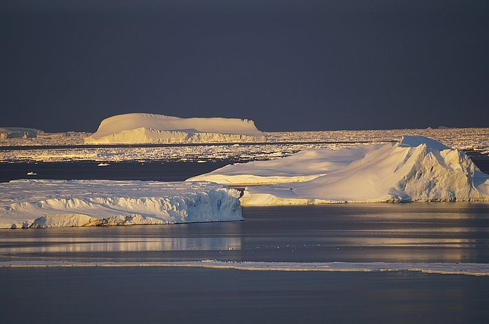 Eisberge leuchten im Abendlicht. 