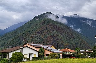 … aber dass die Linden am Nordhang Ende August so verfärbt sind, fällt dieses Jahr auf. (Foto: Marco Conedera, WSL) 