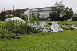 Foto: Gilbert Projer, WSL