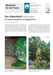 Der Alpenbock