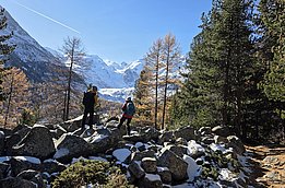 Two hikers are standing on rocks covered in a light dusting of snow, looking out over a mountain landscape with snow-capped peaks. Yellow larch trees stand beside them. The sky is clear and blue.