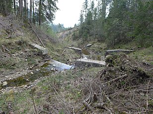 Alpnach OW, 07.05.2018 (Foto: LFI/WSL)