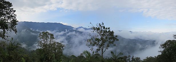 Cloudforest in Ecuador