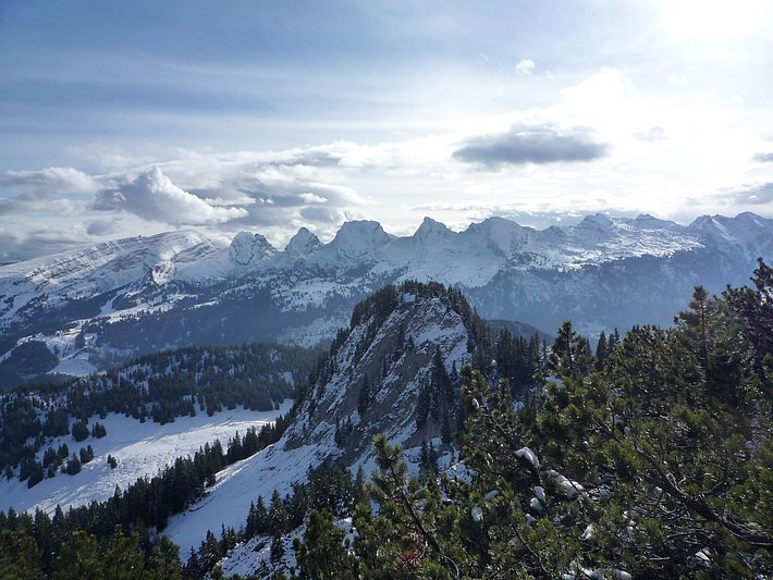 Wildhaus-Alt St. Johann SG, 10.11.2010 (Foto: LFI/WSL)