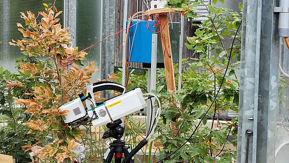 Un appareil scientifique est installé dans une serre, entouré de plantes. L'équipement est monté sur un trépied et connecté par des câbles. Des feuilles brunes sur une plante indiquent une possible détérioration. À l'arrière-plan, des structures en verre et des panneaux électriques sont visibles.