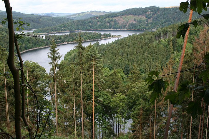 Fichten-Kiefern-Wälder im Naturpark Obere Saale (Thüringen, Deutschland)