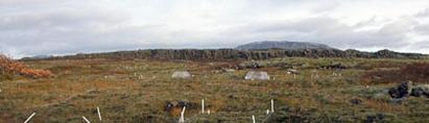 Sito sperimentare ITEX con serre a cielo aperto in Islanda.