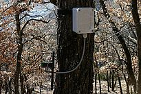 Punktdendrometer zur Erfassung von Baumradiusveränderungen (unten) und Sensor zur Messung von Lufttemperatur und -feuchtigkeit (oben). (Foto: Lorenz Walthert)