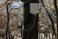 Punktdendrometer zur Erfassung von Baumradiusveränderungen (unten) und Sensor zur Messung von Lufttemperatur und -feuchtigkeit (oben). (Foto: Lorenz Walthert)