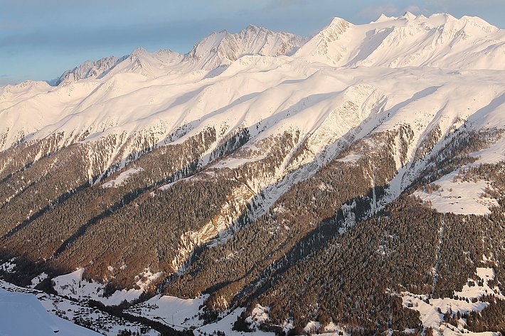 Schutzwaldgürtel bei Fiesch im Goms (Kanton Wallis, Schweiz)