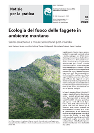 Ecologia del fuoco delle faggete in ambiente montano