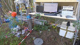 Der WSL-Bodenökologe Jörg Luster nimmt Bodenproben, um die Verteilung des markierten Kohlenstoffs, respektive der Zucker, im Boden zu untersuchen. (Foto: Frank Hagedorn)