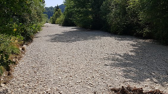 Ein breites Kiesbett erstreckt sich zwischen Gehölzen. Wasser ist keines sichtbar.