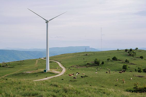 Eine Windturbine in den rumänischen Karpaten. (Bild: Ioana Stoicescu, University of Bucharest)