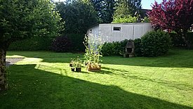 In a garden, on a mown lawn, there are four different flower pots containing plants.